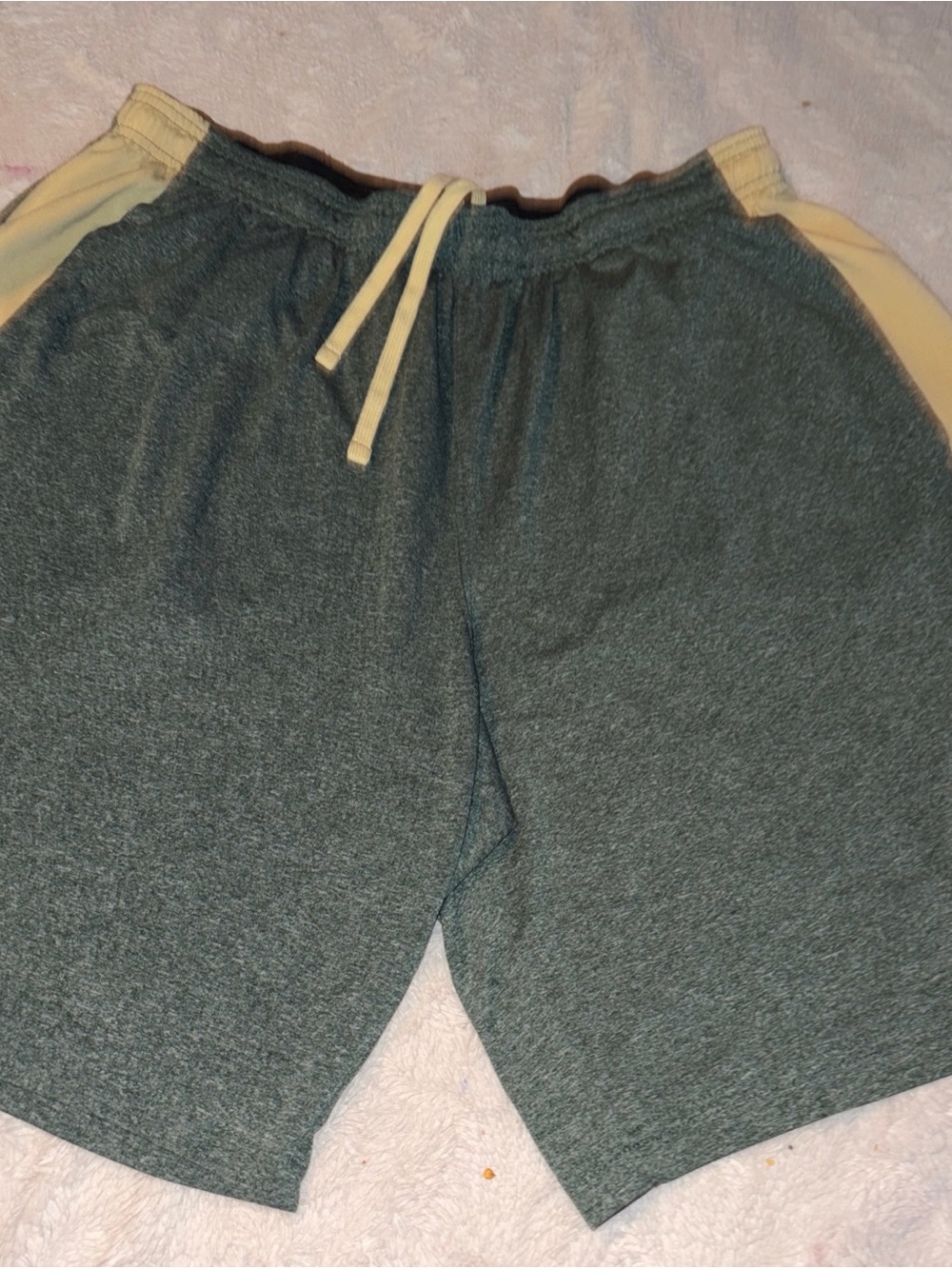 Charlotte 49ers, which represent the University of North Carolina Shorts XL